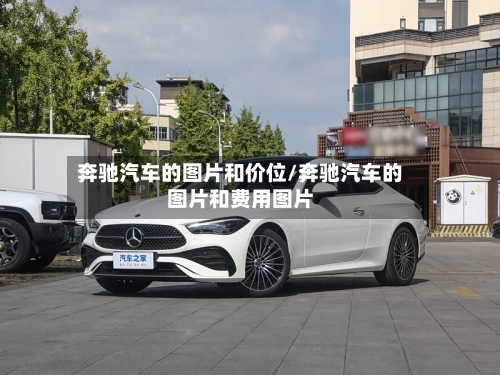 奔驰汽车的图片和价位/奔驰汽车的图片和费用图片-第3张图片