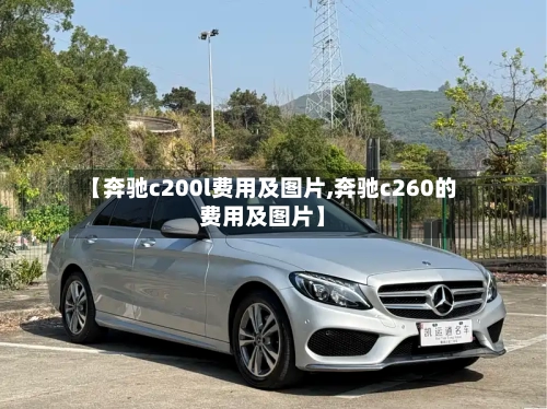 【奔驰c200l费用及图片,奔驰c260的费用及图片】-第2张图片