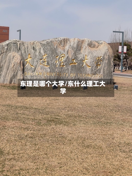 东理是哪个大学/东什么理工大学-第2张图片
