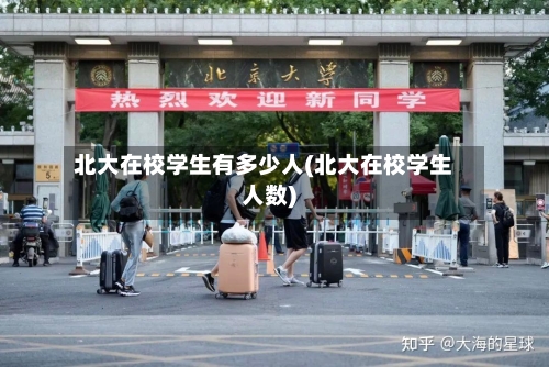 北大在校学生有多少人(北大在校学生人数)-第3张图片