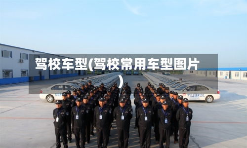 驾校车型(驾校常用车型图片)