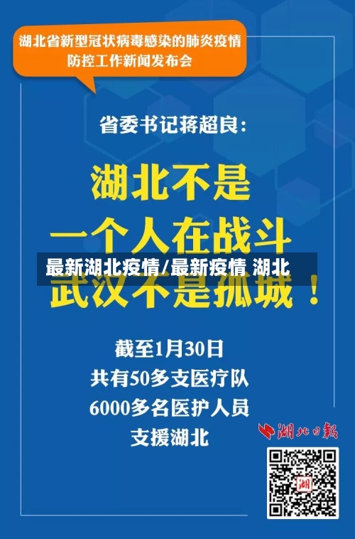 最新湖北疫情/最新疫情 湖北-第3张图片