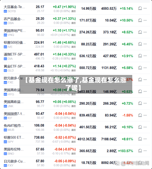 【基金现在怎么涨了,基金现在怎么涨了呢】