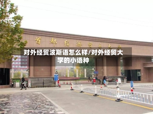 对外经贸波斯语怎么样/对外经贸大学的小语种