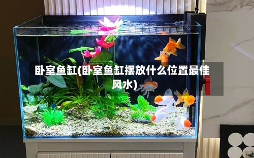 卧室鱼缸(卧室鱼缸摆放什么位置最佳风水)-第2张图片