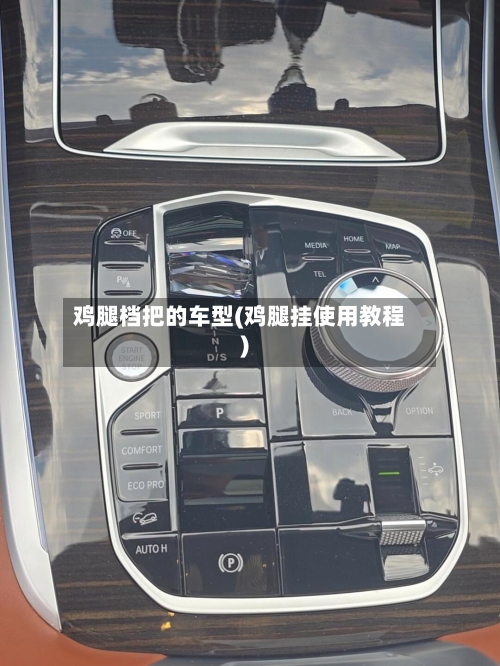 鸡腿档把的车型(鸡腿挂使用教程)-第2张图片