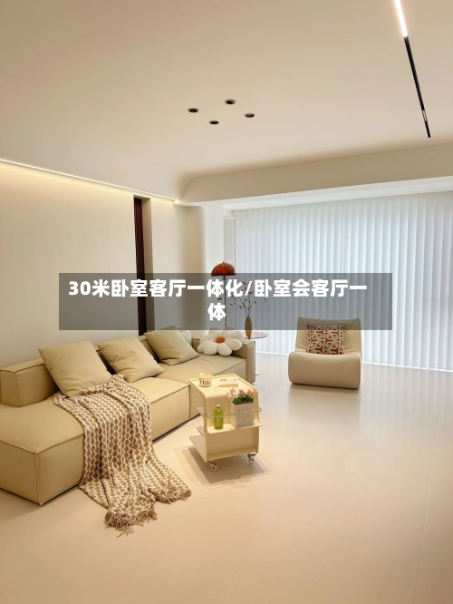 30米卧室客厅一体化/卧室会客厅一体-第3张图片