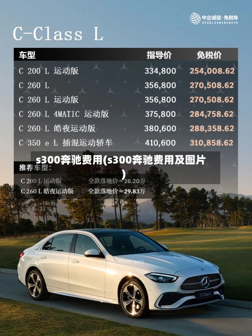 s300奔驰费用(s300奔驰费用及图片)
