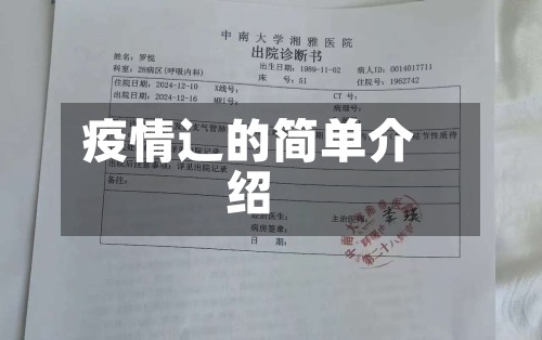 疫情辶的简单介绍-第3张图片