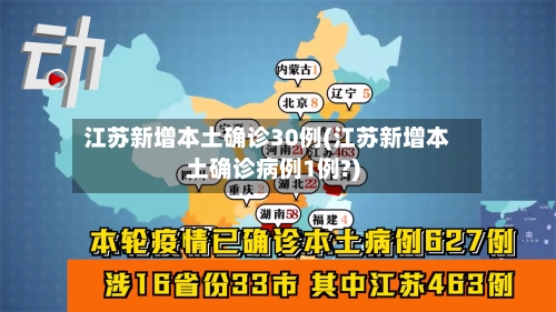 江苏新增本土确诊30例(江苏新增本土确诊病例1例?)-第3张图片