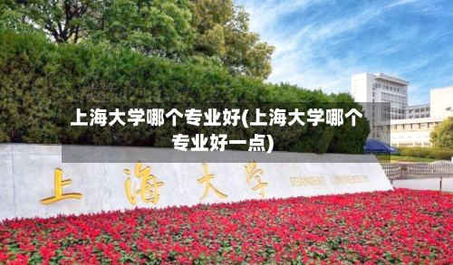 上海大学哪个专业好(上海大学哪个专业好一点)
