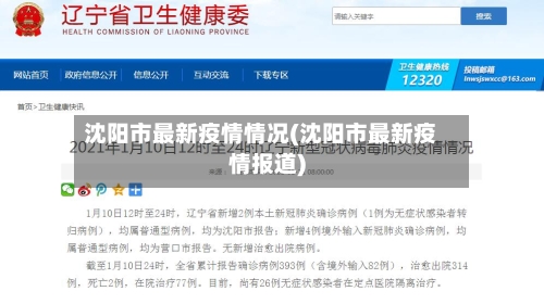 沈阳市最新疫情情况(沈阳市最新疫情报道)