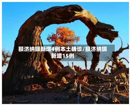 额济纳旗新增4例本土确诊/额济纳旗新增15例-第3张图片