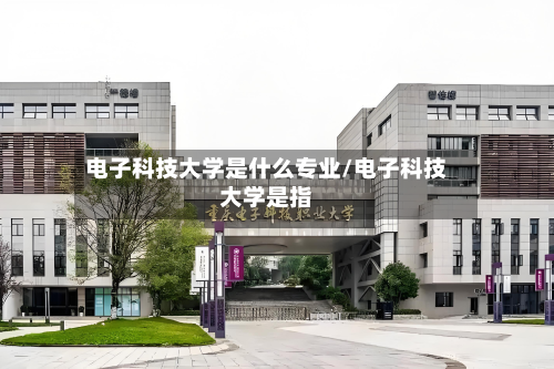 电子科技大学是什么专业/电子科技大学是指-第3张图片