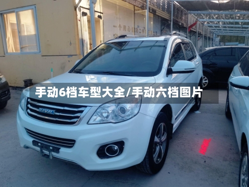 手动6档车型大全/手动六档图片