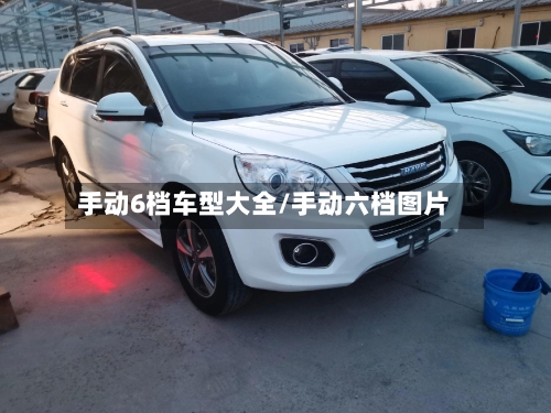 手动6档车型大全/手动六档图片-第3张图片