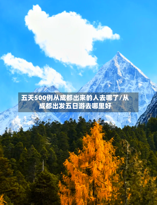 五天500例从成都出来的人去哪了/从成都出发五日游去哪里好-第2张图片