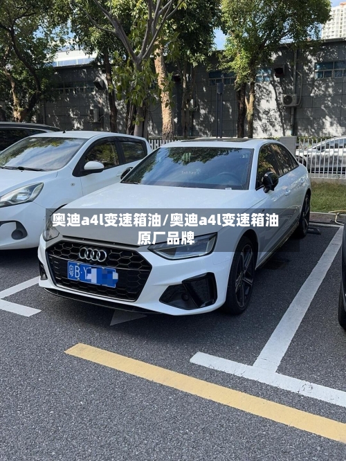 奥迪a4l变速箱油/奥迪a4l变速箱油原厂品牌-第3张图片