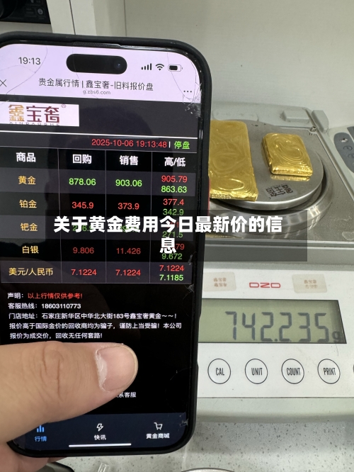 关于黄金费用今日最新价的信息-第2张图片