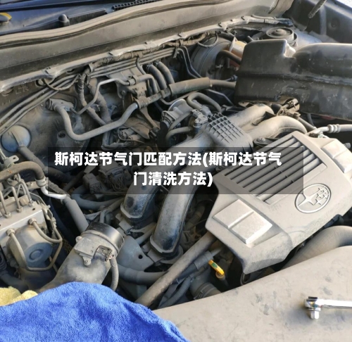 斯柯达节气门匹配方法(斯柯达节气门清洗方法)-第2张图片