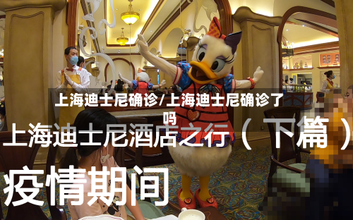 上海迪士尼确诊/上海迪士尼确诊了吗