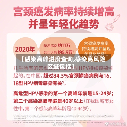 【感染高峰进度查询,感染高风险区域包括】