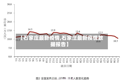 【石家庄最新疫情,石家庄最新疫情数据报告】-第2张图片