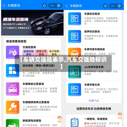 【车辆交强险表示,汽车交强险标识】