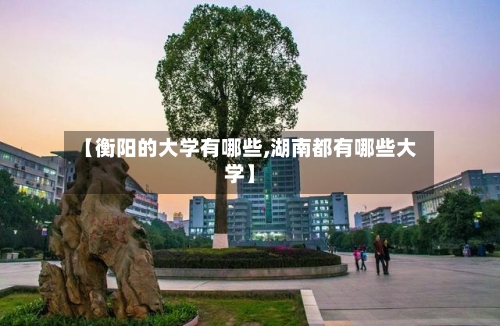 【衡阳的大学有哪些,湖南都有哪些大学】