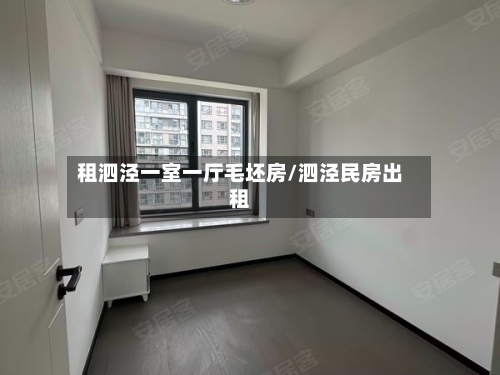 租泗泾一室一厅毛坯房/泗泾民房出租-第2张图片