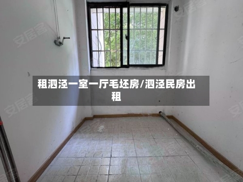 租泗泾一室一厅毛坯房/泗泾民房出租