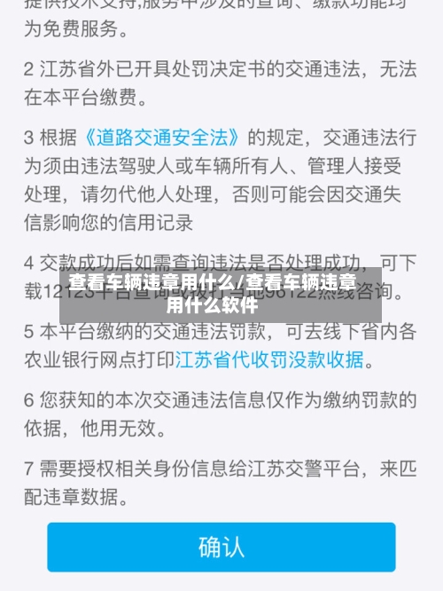查看车辆违章用什么/查看车辆违章用什么软件-第2张图片