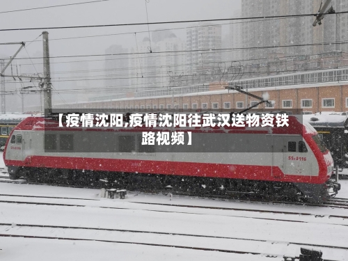 【疫情沈阳,疫情沈阳往武汉送物资铁路视频】