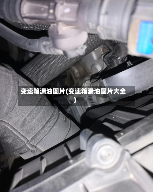 变速箱漏油图片(变速箱漏油图片大全)