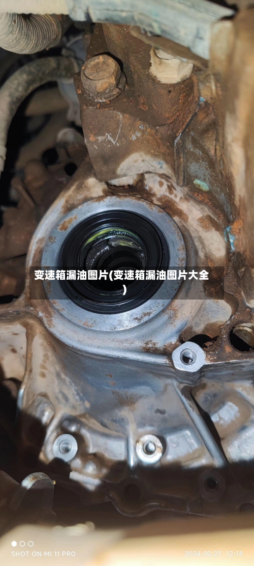 变速箱漏油图片(变速箱漏油图片大全)-第2张图片