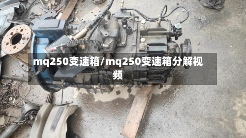 mq250变速箱/mq250变速箱分解视频-第2张图片