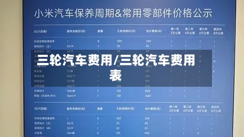 三轮汽车费用/三轮汽车费用表-第3张图片