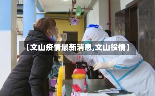 【文山疫情最新消息,文山役情】