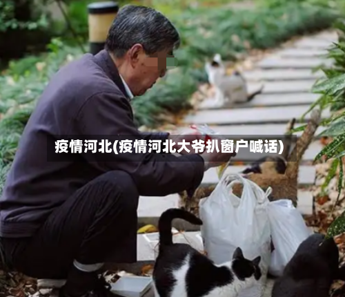 疫情河北(疫情河北大爷扒窗户喊话)
