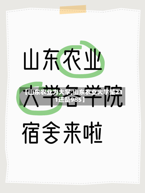 【山东农业为大学,山东农业大学是211还是985】-第2张图片