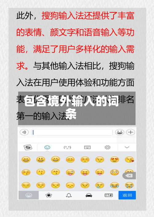 包含境外输入的词条-第2张图片