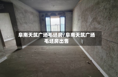 阜南天筑广场毛坯房/阜南天筑广场毛坯房出售