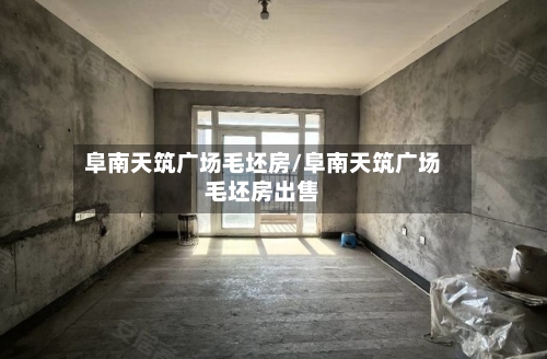 阜南天筑广场毛坯房/阜南天筑广场毛坯房出售-第2张图片