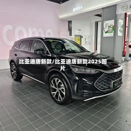 比亚迪唐新款/比亚迪唐新款2025图片-第2张图片