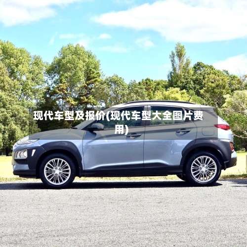 现代车型及报价(现代车型大全图片费用)-第2张图片