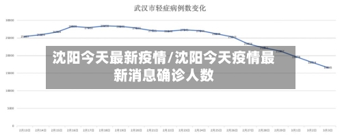 沈阳今天最新疫情/沈阳今天疫情最新消息确诊人数-第2张图片