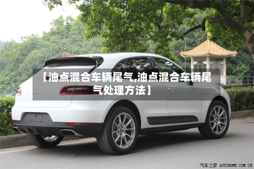 【油点混合车辆尾气,油点混合车辆尾气处理方法】-第3张图片