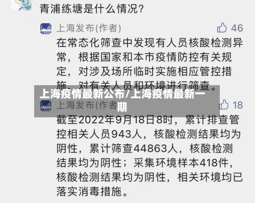 上海疫情最新公布/上海疫情最新一期-第2张图片