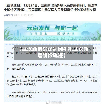 【武汉新增确诊病例4例,武汉新增确诊轨迹】