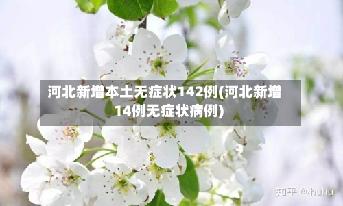 河北新增本土无症状142例(河北新增14例无症状病例)